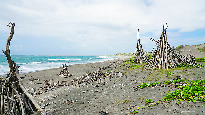 포토 JPG 해외이미지 나무 식물 계절 공원 모래 백그라운드 자연 하늘 풍경 사람없음 야외 목재 초록색 물 여름 쌓기 환경 흰색 숲 내추럴 옛날 해외포토 자연요소 공공시설 컬러 재료 모션 생태계 파일형식 이미지허브