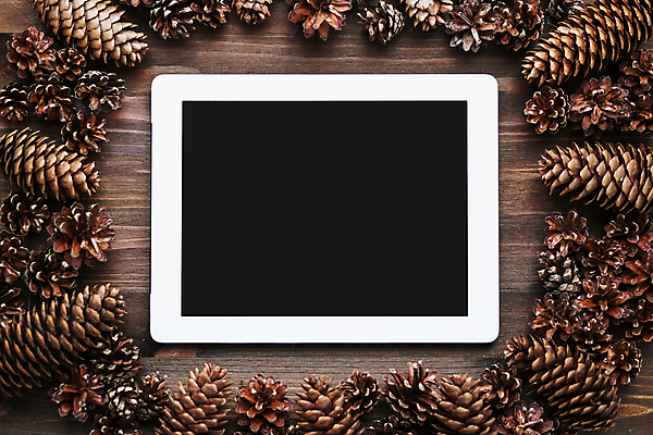 포토 JPG 해외이미지 백그라운드 자연 프레임 사람없음 목재 알약 시골 전자 솔방울 목업 해외포토 나무 재료 약 생태계 파일형식 이미지허브