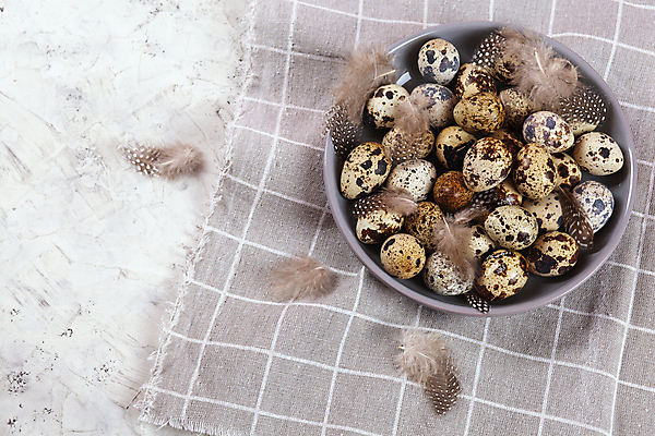 포토 JPG 해외이미지 전통 디자인 계절 행복 음식 백그라운드 컨셉 패턴 재료 자연 조류 휴가 건강 사람없음 장식 농장 갈색 우주 축제 치킨 봄 회색 수확 흰색 시골 축하 그룹 플랫 둥지 작음 먹기 심볼 깃털 유기농 질감 부활절계란 내추럴 메추리 콘크리트 해외포토 동물 웰빙 감정 컬러 무늬 농업 모션 부활절 계란 크기 생태계 닭고기요리 파일형식 이미지허브