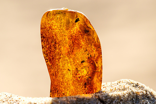 포토 JPG 해외이미지 자연 사람없음 빛 주황색 투명 보석 화석 앰버 해외포토 컬러 광석 생태계 파일형식 이미지허브