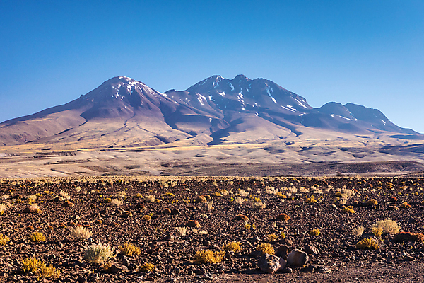 포토 JPG 해외이미지 동물 여행 백그라운드 자연 하늘 산 건조 풍경 사람없음 야외 빨간색 초록색 여름 계곡 미국 일몰 사막 남아메리카 화산 칠레 남쪽 볼리비아 전국 해외포토 계절 컬러 북아메리카 아메리카 노을 방향 생태계 파일형식 이미지허브