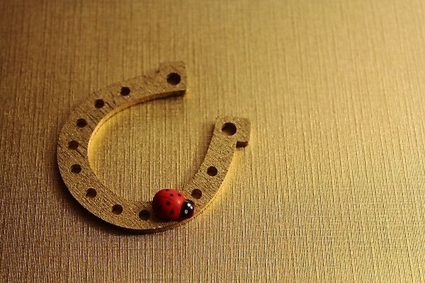 포토 JPG 해외이미지 성공 새로움 새해 사람없음 희망 생일 행운 연도 심볼 무당벌레 편자 해외포토 기념일 감정 곤충 컨셉 말발굽 파일형식 이미지허브