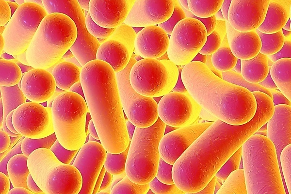 포토 JPG 해외이미지 과학 백그라운드 일러스트 생물 세포 건강 현미경 사람없음 약 3D 고통 질병 생물학 전자 감염 미생물 요거트 박테리아 스캔 요구르트 전염병 많음 해외일러스트 교육 감정 컨셉 의학 유제품 실험기구 디지털합성 파일형식 이미지허브