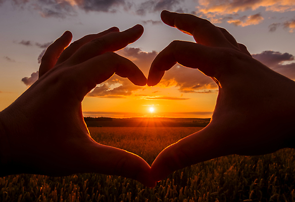 포토 JPG 해외이미지 손 풍경 초원 신체부위 햇빛 일몰 감성 손하트 해외포토 컨셉 사람 손짓 태양 노을 파일형식 이미지허브