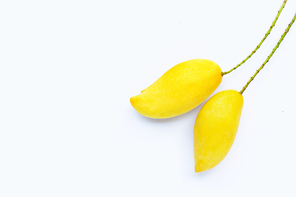 포토 JPG 해외이미지 실내 사람없음 두개 열대과일 흰배경 망고 해외포토 백그라운드 2 과일 내부 흰색 파일형식 이미지허브