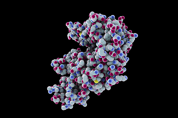 포토 JPG 해외이미지 모델 과학 백그라운드 일러스트 사람 사람없음 약 3D 검은색 중국 호흡기관 바이러스 질병 감염 테라피 고립 단백질 백신 화학물질 해외일러스트 아시아 컬러 의학 뷰티 장기_의학 화학 디지털합성 영양소 파일형식 이미지허브