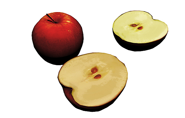 포토 JPG 해외이미지 줄기 과일 일러스트 포장 건강 사람없음 그래픽 빨간색 노란색 원형 사과 먹기 썩음 영양소 해외포토 도형 식물 컬러 모션 파일형식 이미지허브