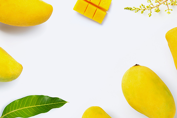 포토 JPG 해외이미지 잎 실내 사람없음 열대과일 흰배경 망고 과일조각 플랫레이 카피스페이스 해외포토 식물 조각 백그라운드 과일 내부 공백 흰색 플랫 파일형식 이미지허브