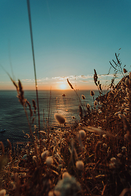 포토 JPG 해외이미지 바다 하늘 풍경 사람없음 야외 일몰 풀 스페인 야간 소프트포커스 해외포토 자연요소 식물 유럽 촬영기법 노을 파일형식 이미지허브