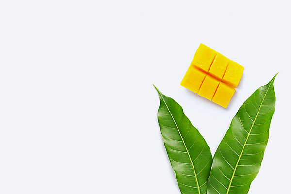 포토 JPG 해외이미지 잎 실내 사람없음 열대과일 흰배경 망고 과일조각 카피스페이스 해외포토 식물 조각 백그라운드 과일 내부 공백 흰색 파일형식 이미지허브