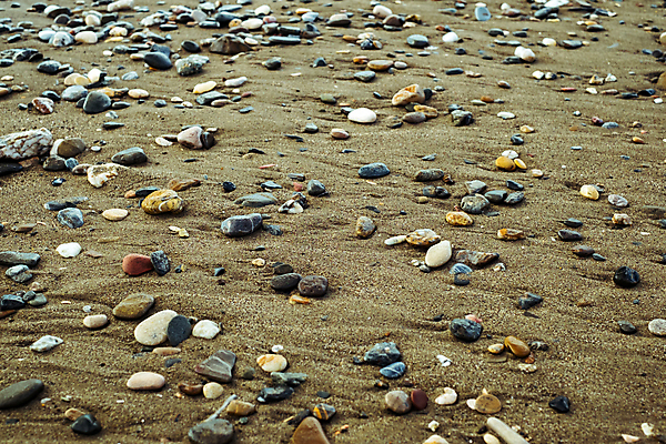 포토 JPG 해외이미지 모양 모래 바다 조각 여행 백그라운드 패턴 자연 추상 조개 불꽃 휴식 그림자 사람없음 야외 장식 강 컬러풀 반사 평화 껍질 조약돌 바위 원형 거친 입자 매끈함 배열 묘사 질감 심플 홍합 내추럴 이국적 해외포토 도형 컬러 컨셉 무늬 불 어패류 돌_바위 감각 생태계 파일형식 이미지허브