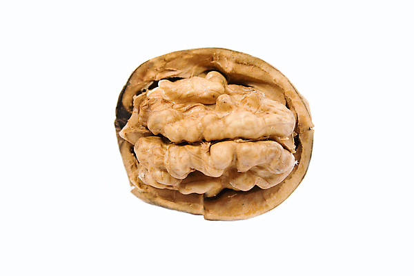 포토 JPG 해외이미지 1 음식 백그라운드 과일 자연 건조 건강 사람없음 견과류 껍질 유기농 호두 가뭄 성분 내추럴 해외포토 웰빙 날씨 생태계 파일형식 이미지허브