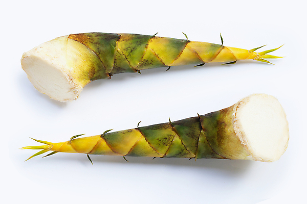 포토 JPG 해외이미지 실내 사람없음 하이앵글 흰배경 죽순 해외포토 뷰포인트 백그라운드 내부 흰색 파일형식 이미지허브