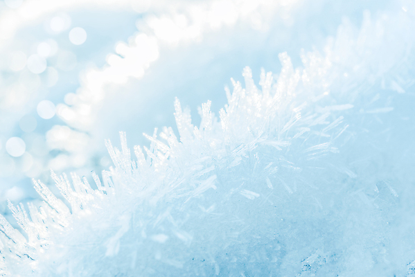 포토 JPG 해외이미지 나무 계절 백그라운드 크리스마스 겨울 패턴 자연 표면 날씨 추상 휴가 사람없음 야외 장식 파란색 빛 햇빛 태양 냉동 얼음 추위 흰색 눈송이 닫기 시원함 12월 크리스탈 연도 묘사 질감 서리 보케 부드러움 북쪽 내추럴 눈내림 해외포토 자연요소 식물 기념일 컬러 무늬 모션 눈_날씨 감각 날짜 광석 방향 생태계 파일형식 이미지허브