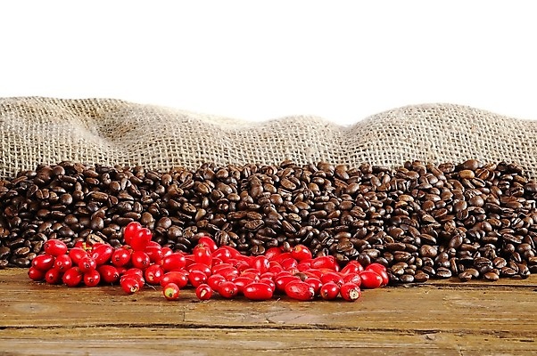 포토 JPG 해외이미지 사람없음 카페 아로마 해외포토 상점 파일형식 이미지허브