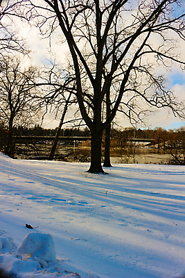 포토 JPG 해외이미지 나무 계절 공원 도로 여행 백그라운드 컨셉 크리스마스 겨울 자연 하늘 날씨 산 거리 프레임 사랑 풍경 사람없음 야외 파란색 냉동 얼음 추위 안개 흰색 시골 고속도로 변화 숲 서리 트랙 장면 루마니아 블로거 뿌연 줄서기 콜로라도 눈내림 크리스마스배경 효과 해외포토 자연요소 식물 공공시설 기념일 감정 유럽 길 컬러 교통시설 모션 눈_날씨 미국 생태계 파일형식 이미지허브