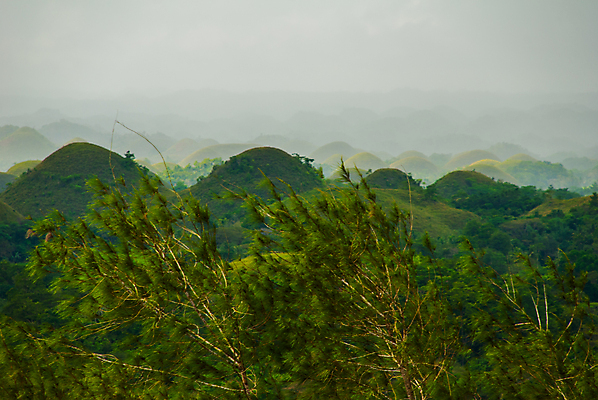 포토 JPG 해외이미지 나무 구름 계절 아시아 섬 여행 자연 하늘 휴가 산 동양인 풍경 사람없음 야외 초록색 여름 여행객 초콜릿 시골 숲 언덕 공상 내추럴 석회암 이국적 지질학 수평선 해외포토 자연요소 식물 교육 나라 컬러 디저트 사람 인종 암석 생태계 파일형식 이미지허브