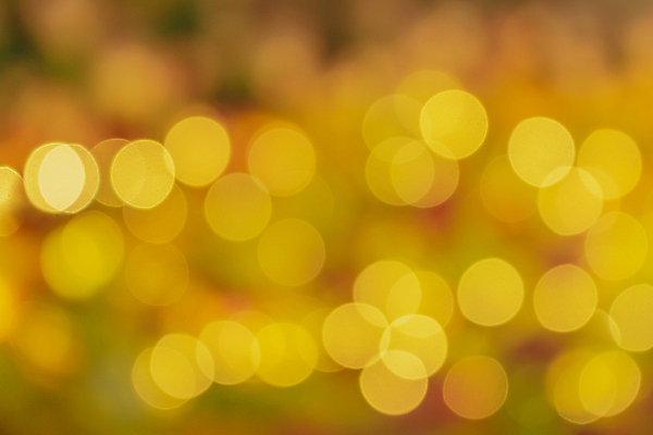 포토 JPG 해외이미지 디자인 백그라운드 크리스마스 패턴 벽지 추상 휴가 새로움 사람없음 장식 빨간색 빛 컬러풀 노란색 파티 우주 검은색 축제 어둠 수확 흰색 축하 도시 원형 화려 황금 야간 소프트포커스 연도 질감 보케 먼지 마법 빛망울 블러 효과 해외포토 자연요소 도형 기념일 컬러 컨셉 무늬 농업 촬영기법 이벤트 파일형식 이미지허브