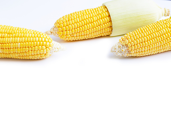 포토 JPG 해외이미지 실내 옥수수 사람없음 세개 흰배경 카피스페이스 해외포토 백그라운드 곡류 3 내부 공백 흰색 파일형식 이미지허브