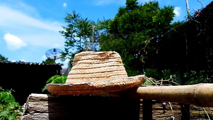 포토 JPG 해외이미지 바다 백그라운드 휴가 휴식 집게 손바닥 사람없음 야외 가로 파란색 컬러풀 햇빛 태양 유행 스크린 수확 흰색 직물 닫기 호주 보호 빨랫줄 자르기 싱글 휴양지 밀짚모자 데이지 심플 강렬 웅장함 스타일 수평선 카피스페이스 미니멀리스트 미니멀 해외포토 자연요소 모자_잡화 손 꽃 줄 컬러 컨셉 농업 모션 공백 장소 오세아니아 파일형식 이미지허브