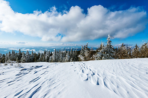 포토 JPG 해외이미지 나무 구름 유럽 여행 겨울 자연 하늘 휴가 스키 산 파노라마 풍경 사람없음 야외 파란색 태양 환경 계곡 냉동 얼음 하이킹 추위 성장 흰색 시골 소나무 숲 언덕 휴양지 서리 북쪽 슬로프 산악지대 절정 폭설 눈내림 가문비나무 해외포토 자연요소 식물 계절 나라 컬러 레저 겨울스포츠 스키장 눈_날씨 촬영기법 장소 자연재해 방향 생태계 파일형식 이미지허브