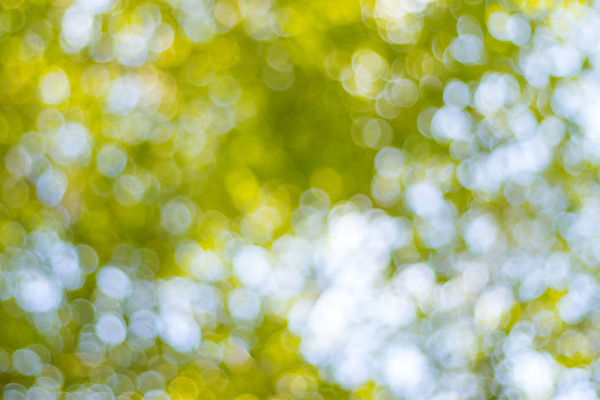 포토 JPG 해외이미지 나무 계절 백그라운드 잎 패턴 자연 추상 사람없음 초록색 빛 자유 질감 보케 내추럴 블러 해외포토 식물 컬러 컨셉 무늬 생태계 파일형식 이미지허브