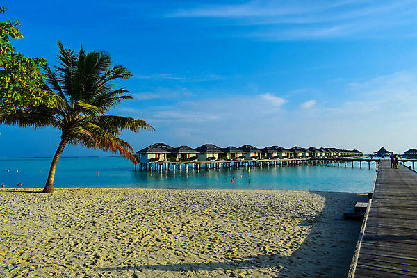 포토 JPG 해외이미지 나무 식물 모래 바다 섬 여행 백그라운드 자연 하늘 휴가 휴식 손바닥 그림자 풍경 사람없음 물 여름 파란색 햇빛 태양 맑음 침묵 시골 휴양지 코코넛 천국 석호 몰디브 이국적 터키석 파라다이스 해외포토 자연요소 손 계절 아시아 컬러 컨셉 과일 날씨 소리 장소 보석 생태계 파일형식 이미지허브