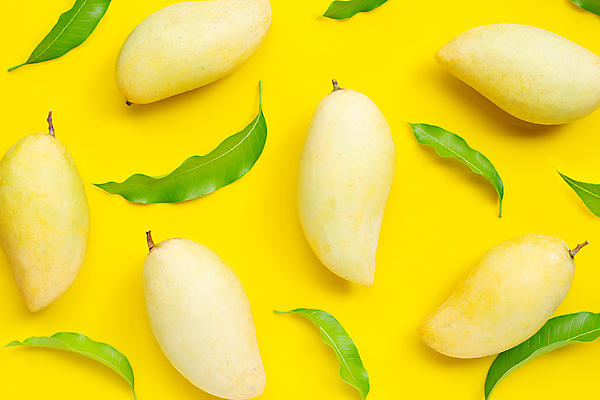 포토 JPG 해외이미지 잎 실내 사람없음 여러개 열대과일 망고 노란배경 해외포토 식물 다수 백그라운드 과일 내부 노란색 파일형식 이미지허브