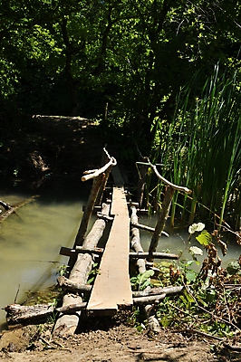 포토 JPG 해외이미지 나무 여행 잎 지팡이 동화 산 사람없음 물 강 여행객 나뭇가지 연못 뜨거움 해조류 숲 진흙 해외포토 자연요소 식물 사람 해양식물 파일형식 이미지허브