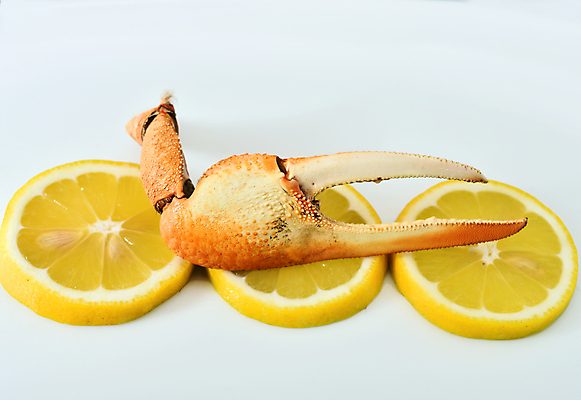 포토 JPG 해외이미지 동물 전통 음식 바다 조각 다이어트 조개 건강 갑각류 요리 사람없음 식당 게 껍질 신선 스페인 맛 지중해 레몬 해산물 준비 내추럴 발톱 삶기 식품점 안달루시아 집게발 핸드메이드 해외포토 유럽 컨셉 과일 발 어패류 상점 파일형식 이미지허브