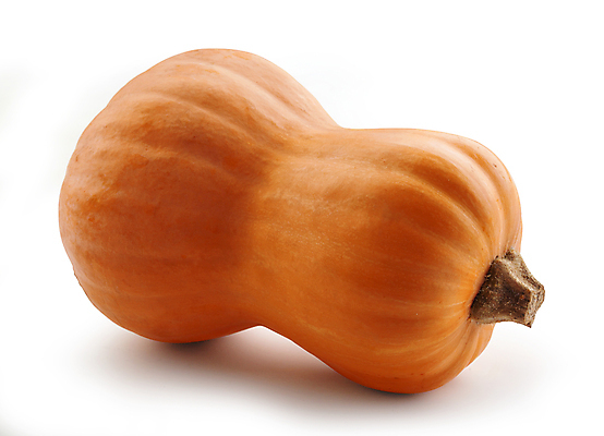 포토 JPG 해외이미지 식물 클리핑패스 음식 채소 오렌지 재료 호박 사람없음 농작물 식사 수확 가을 상품 고립 해외포토 계절 농업 과일 파일형식 이미지허브