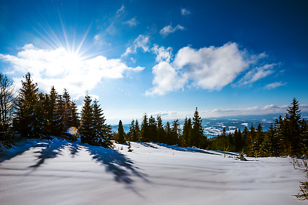 포토 JPG 해외이미지 나무 구름 유럽 여행 겨울 자연 하늘 휴가 스키 산 파노라마 그림자 풍경 사람없음 야외 태양 맑음 냉동 얼음 트래킹 하이킹 추위 성장 흰색 소나무 숲 언덕 서리 북쪽 슬로프 산악지대 웅장함 절정 폭설 눈내림 가문비나무 해외포토 자연요소 식물 계절 나라 컬러 레저 날씨 겨울스포츠 스키장 눈_날씨 촬영기법 자연재해 방향 생태계 파일형식 이미지허브