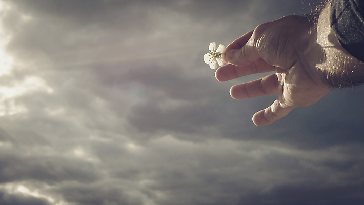 포토 JPG 해외이미지 나무 식물 디자인 계절 꽃잎 꽃 분홍색 백그라운드 잎 꽃무늬 패턴 일러스트 자연 벽지 동양인 사람없음 야외 장식 초록색 파란색 정원 일본 봄 수확 벚꽃 흰색 나뭇가지 신선 개화 체리 인쇄 4월 5월 문신 대나무 질감 보케 캔버스 꽃가루 녹색배경 내추럴 땅바닥 블러 해외포토 아시아 컬러 무늬 농업 과일 바닥 인종 날짜 가루 생태계 파일형식이미지허브 