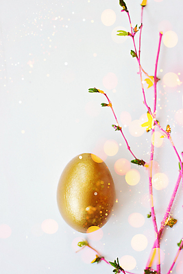 포토 JPG 해외이미지 전통 디자인 계절 행복 음식 분홍색 백그라운드 컨셉 돈 일러스트 비즈니스 성공 휴가 부활절 아이디어 선물 미술 사람없음 장식 금융 빛 반사 노란색 계란 봄 흰색 나뭇가지 축하 신용카드 투명 재산 황금 심볼 투자 보케 보물 고립 해외포토 나무 기념일 감정 컬러 문화예술 경제 알 파일형식 이미지허브