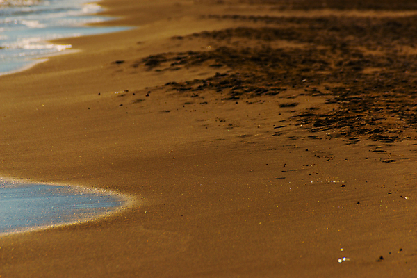 포토 JPG 해외이미지 모래 파도 바다 여행 백그라운드 자연 조류 표면 날씨 휴가 휴식 해변 사람없음 물 빛 햇빛 반사 거품 에너지 흰색 만 뜨거움 서핑 황금 닫기 떨어짐 매끈함 질감 웨이브 남쪽 석호 내추럴 파라다이스 해외포토 자연요소 동물 컬러 컨셉 모션 태양 수상스포츠 감각 방향 생태계 파일형식 이미지허브