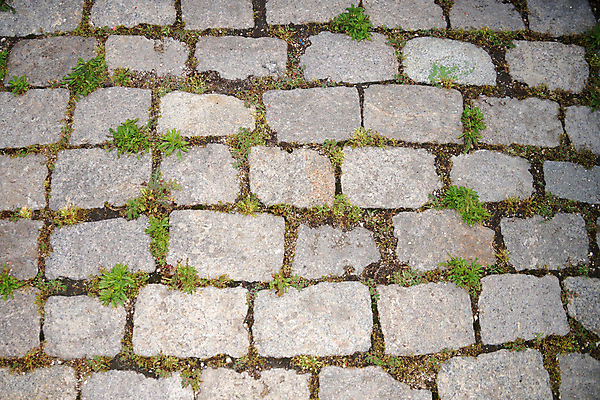 포토 JPG 해외이미지 모양 식물 디자인 외관 도로 길 백그라운드 포장 건축양식 벽지 표면 추상 벽돌 바닥 이끼 사람없음 야외 초록색 컬러풀 우주 정원 블록 회색 차도 바위 도시 거친 보행로 균열 타일 질감 정사각형 시멘트 판 땅바닥 방법 옛날 콘크리트 화강암 해외포토 도형 건축 컬러 무늬 교통시설 모션 암석 돌_바위 파일형식 이미지허브