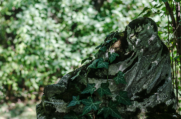 포토 JPG 해외이미지 꽃 기독교 종교 지구 백그라운드 십자가 부활절 사람없음 목재 조각상 검은색 성경 바위 기도 죽음 예수 영혼 목사 심볼 애도 신성 땅파기 신앙심 옛날 장례식 오싹 해외포토 나무 식물 기념일 컬러 재료 종교용품 조형물 신_종교 성직자 파일형식 이미지허브