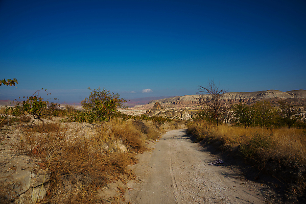 포토 JPG 해외이미지 공원 분홍색 여행 건축양식 자연 하늘 산 카파도키아 풍경 사람없음 빨간색 여름 교회 여행객 계곡 바위 도시 오픈 역사 동굴 재산 언덕 화산 장면 사암 타운 칠면조 내추럴 옛날 전국 지질학 튀르키예 해외포토 계절 공공시설 교육 건축 아시아 컬러 종교건축 조류 사람 건물 금융 돌_바위 생태계 파일형식 이미지허브