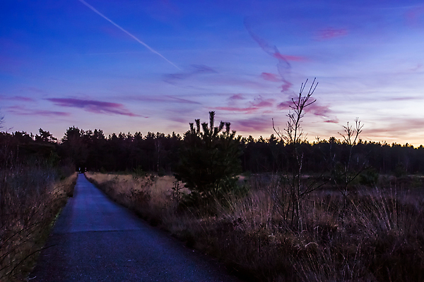 포토 JPG 해외이미지 나무 식물 구름 계절 도로 길 백그라운드 밭 오렌지 자연 하늘 풍경 사람없음 파란색 컬러풀 태양 걷기 일출 황혼 일몰 새벽 활발 시골 저녁 숲 네덜란드 장면 내추럴 강렬 방법 삼림지대 수평선 해외포토 자연요소 유럽 컬러 컨셉 농업 과일 교통시설 모션 노을 야간 생태계 파일형식 이미지허브
