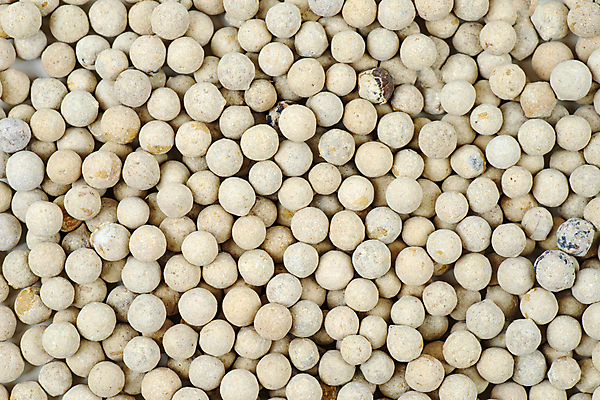 포토 JPG 해외이미지 식물 음식 백그라운드 재료 건조 건강 요리 씨앗 사람없음 흰색 뜨거움 양념 조미료 닫기 맛 낟알 인도인 허브 향신료 유기농 매움 날것 향기 아로마 향료 향 후추 해외포토 외국인 웰빙 컬러 컨셉 모션 동양인 냄새 향미료 파일형식 이미지허브