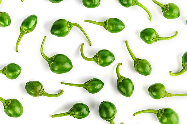 포토 JPG 해외이미지 잡화 줄기 채소 재료 자연 고추 불 파프리카 건강 사람없음 빨간색 초록색 농장 노란색 수확 성장 흰색 뜨거움 원형 체리 시장 닫기 달콤 상품 작음 큼 폭탄 인도인 향신료 싱글 유기농 매움 날것 후추 국산 칠레 보닛 고립 숙성 식용 온실 줄서기 할라피뇨 해외포토 자연요소 도형 외국인 식물 웰빙 컬러 농업 과일 모션 자동차 동양인 남아메리카 맛 크기 폭발물 생태계 향미료 파일형식 이미지허브