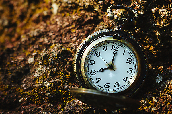 포토 JPG 해외이미지 라이프스타일 디자인 시계 컨셉 자연 산 이끼 사람없음 야외 환경 금속 수확 골동품 기구 인사 시간 역사 클래식 고급 우아함 숲 8 주머니 손목시계 언덕 측정 속도 복고 과거 다이얼 그런지 분 조언 스타일 카피스페이스 해외포토 농업 장신구 재질 생활 숫자 공백 예절 생태계 파일형식 이미지허브