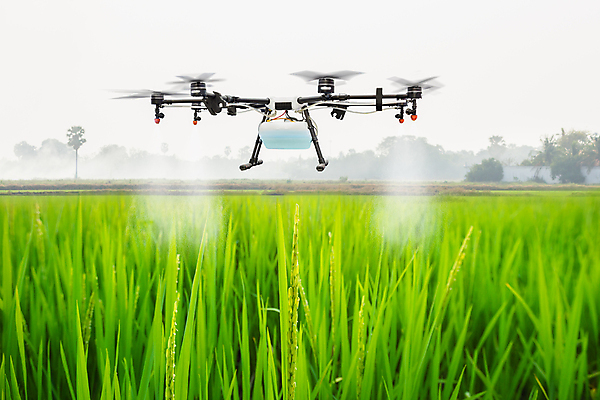 포토 JPG 해외이미지 식물 직업 산업 아시아 밭 농업 태국 자연 밥 안테나 사람없음 초록색 물 농장 환경 장비 수확 성장 시골 신선 농부 땅 스마트 와이파이 스프레이 분무기 시스템 멀리 내추럴 거름 드론 밭일 스프링쿨러 자동 제어 지능 화학물질 AI_인공지능 해외포토 자연요소 나라 음식 컬러 컨셉 통신 화학 생태계 무선인터넷 파일형식 이미지허브