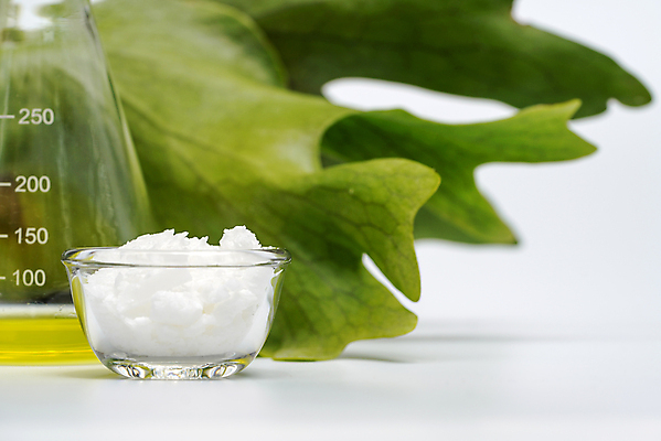 포토 JPG 해외이미지 식물 과학 잎 유리 탁자 휴식 건강 실험 사람없음 치료 초록색 물 노란색 스파 화장품 장비 흰색 신선 액체 실험실 허브 상쾌 유기농 소금 꿀 조제 내추럴 돌봄 바이오 분석가 신맛 화학물질 카피스페이스 해외포토 자연요소 직업 웰빙 감정 컬러 가구 컨셉 의학 모션 재질 뷰티 약 공백 화학 맛 만들기 파일형식 이미지허브