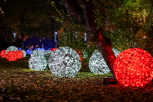 포토 JPG 해외이미지 전통 계절 유럽 여행 크리스마스 겨울 건축양식 휴가 사람없음 야외 장식 빛 상점 축하 도시 비엔나 오스트리아 시장 야간 저녁 빛망울 인기 해외포토 자연요소 기념일 건축 나라 컨셉 파일형식 이미지허브