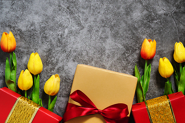 포토 JPG 해외이미지 전통 계절 꽃 행복 별 리본 백그라운드 컨셉 크리스마스 겨울 휴가 새해 기념 선물 이벤트 사람없음 장식 빨간색 선물상자 쇼핑 상자 갈색 세일 상점 놀람 권투 수확 시골 축하 인사 12월 활 복고 시멘트 환영 마법 온라인 그만 마지막 특별함 제의 해외포토 자연요소 식물 기념일 감정 컬러 농업 표정 격투기 예절 날짜 파일형식 이미지허브