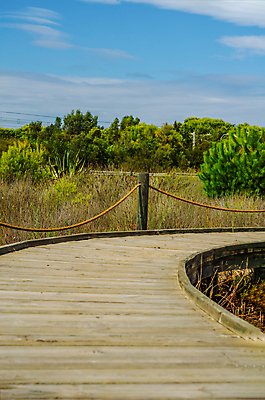 포토 JPG 해외이미지 모래 바다 여행 백그라운드 자연 하늘 휴가 풍경 사람없음 목재 여름 울타리 모래사장 햇빛 태양 걷기 맑음 산책로 수확 뜨거움 스페인 보호 널 오솔길 모래언덕 입장 통로 휴양지 보호구역 이국적 파라다이스 해외포토 자연요소 나무 계절 유럽 길 컨셉 농업 재료 모션 날씨 담장 장소 언덕 생태계 구역 파일형식 이미지허브