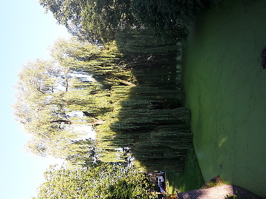 포토 JPG 해외이미지 음식 농업 비즈니스 건축양식 사람 사람없음 건물 반사 자전거 도시 시장 모서리 냄비 네덜란드 대학교 정사각형 광장 미로 시청 지도책 포럼 해외포토 도형 건축물 건축 유럽 산업 학교 책 바이크 솥 토론 관공서 파일형식 이미지허브