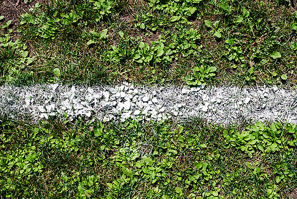 포토 JPG 해외이미지 공원 선 스포츠 밭 놀이 표시 표면 잔디 사람없음 야외 초록색 경기장 줄무늬 게임 흰색 경계선 그리기 가장자리 놀이터 가루 심볼 흔적 분필 규칙 골 땅바닥 직진 한계 해외포토 식물 공공시설 컬러 무늬 농업 스포츠시설 모션 바닥 둘레 경계 초크 파일형식 이미지허브
