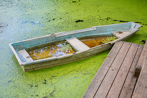 포토 JPG 해외이미지 주간 계절 호수 바다 백그라운드 교통시설 자연 항해 사람없음 야외 수확 연못 보트 작음 철 버리기 함선 옛날 해외포토 자연요소 교통 농업 배_교통 모션 크기 시설 생태계 파일형식 이미지허브